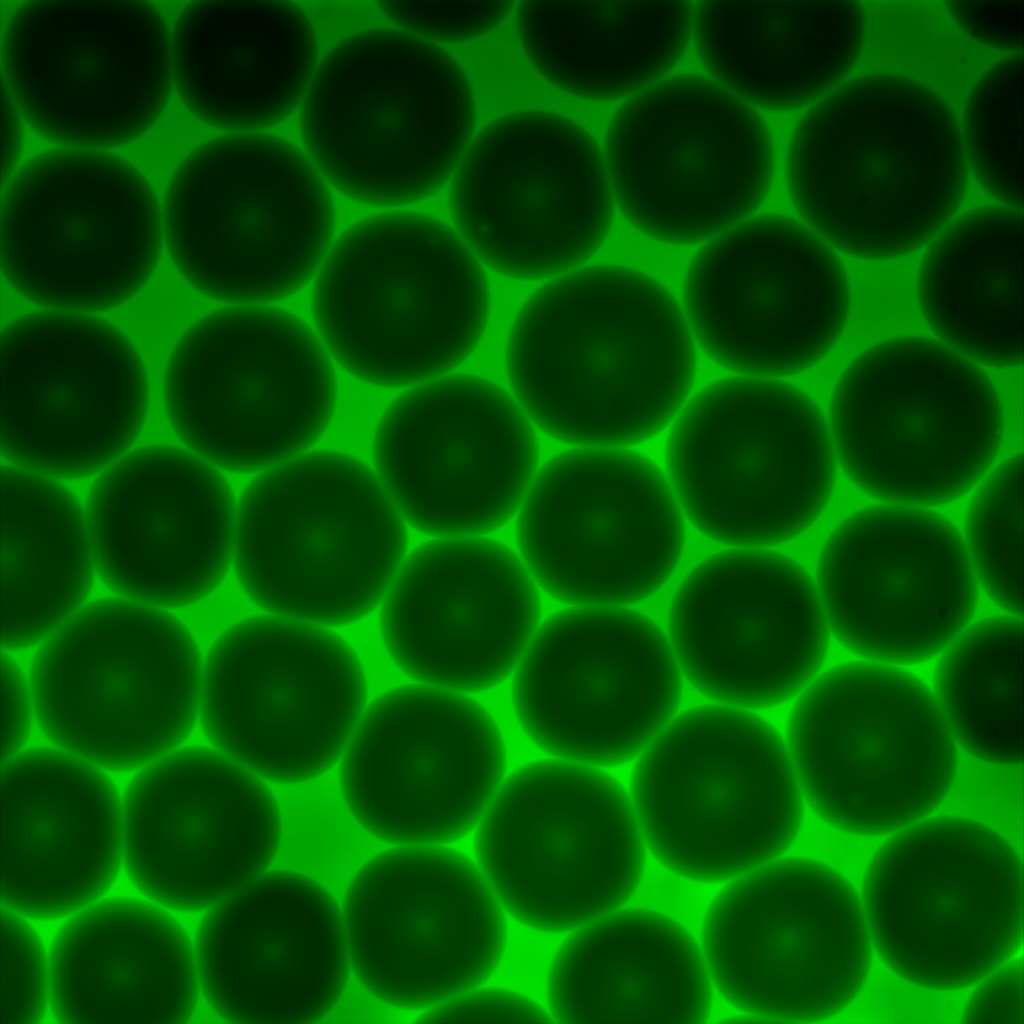 Dark circular forms packed tightly together against a bright green background