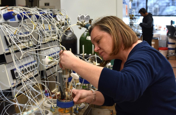 Photo shows Teresa Martin participating in research efforts