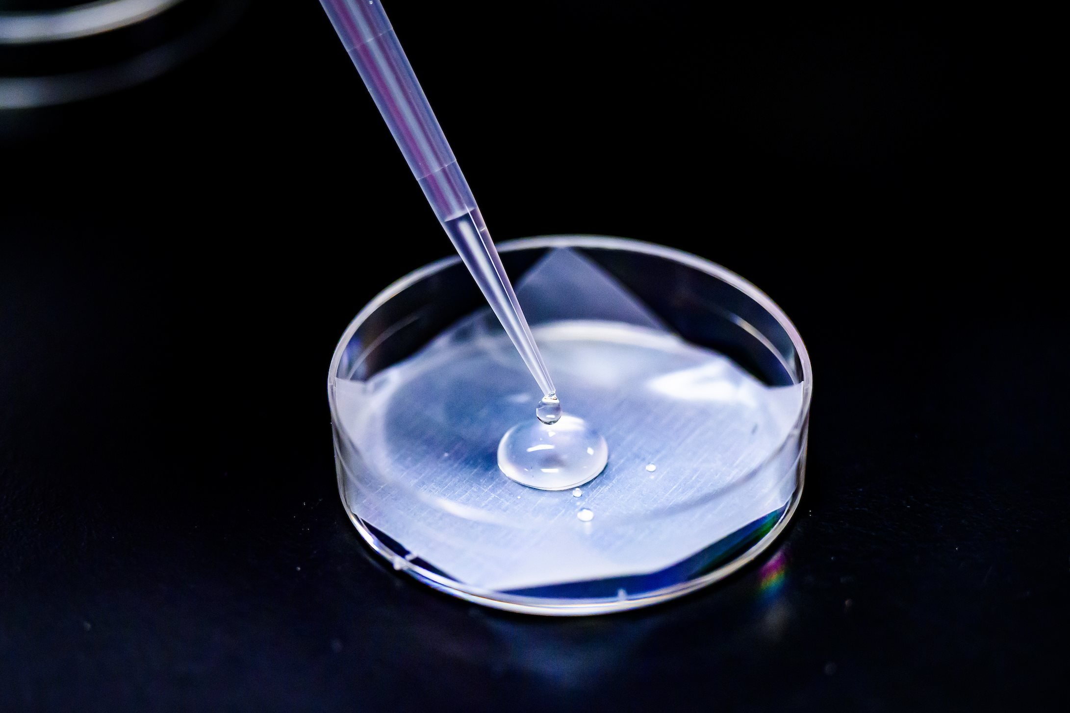 a pipette dropping a globule of gel onto a round dish