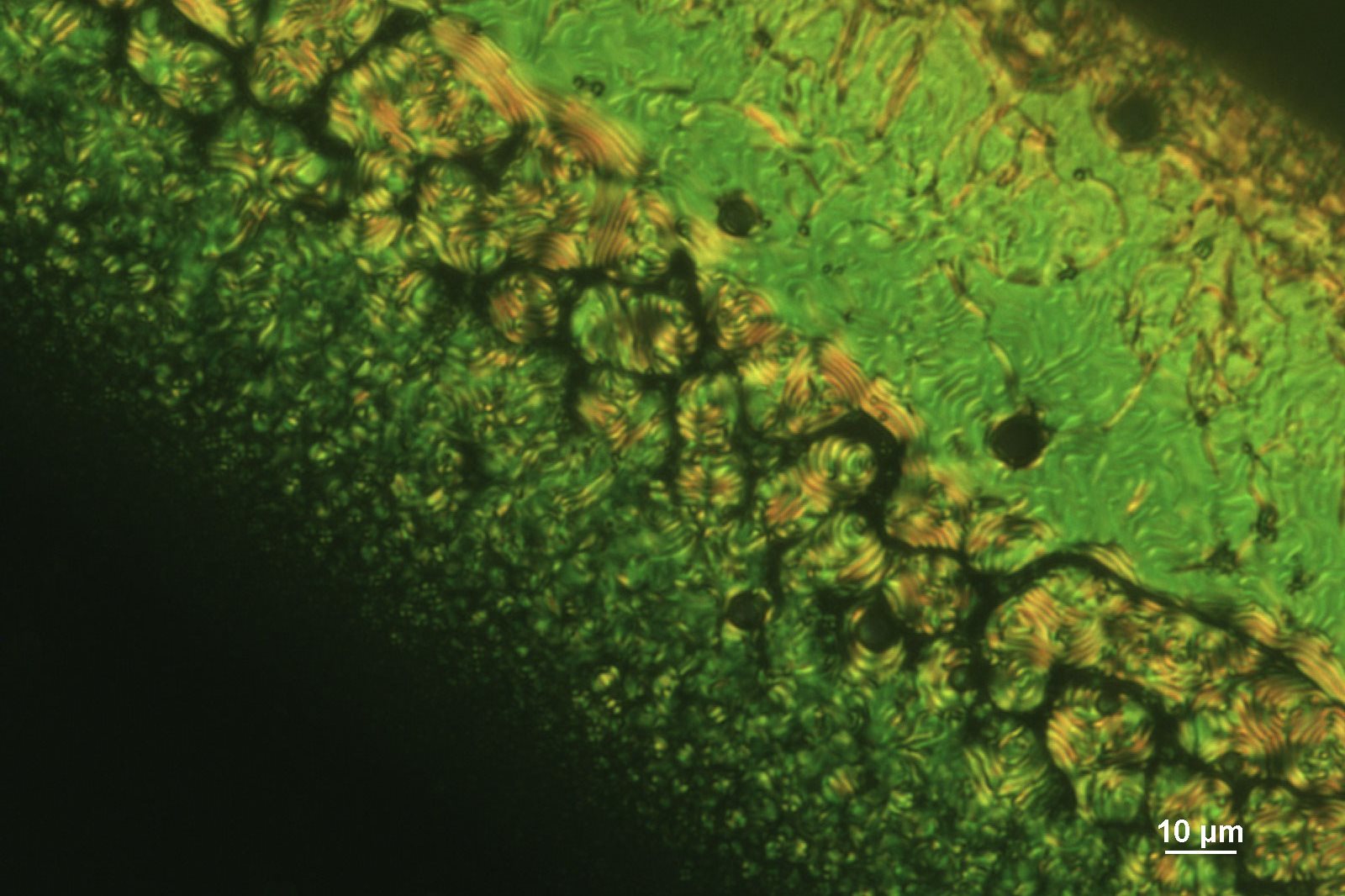 microscopic image of a green and yellow polymer