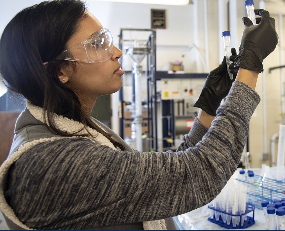 Student inspects test tube in lab