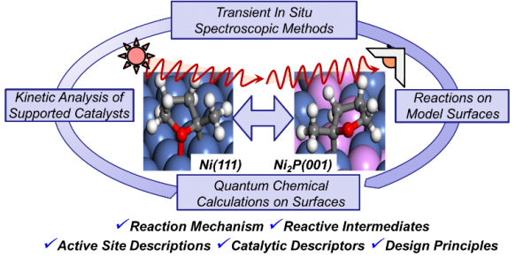 catalysisgroupimage1