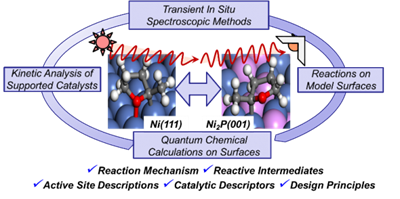 catalysisgroupimage1