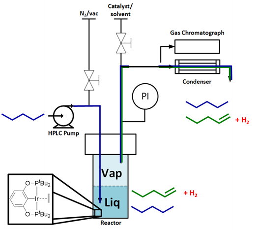 catalysisgroupimage2