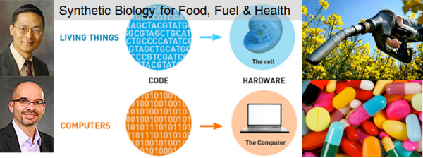 bioresearch5