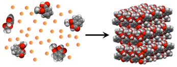 Self-assembly processes induce symmetry and order from highly disorganized systems.