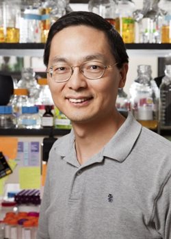 Huimin Zhao, professor of chemical &amp;amp; biomolecular engineering