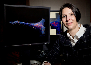 ChBE professor Mary Kraft led the research team Photo by L. Brian Stauffer