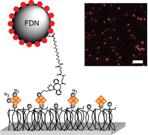 Research image from Assistant Professor Charles Schroeder