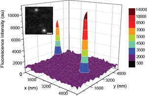 Research image from Assistant Professor Charles Schroeder