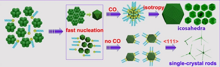 Mode of formation for various Pt nanocrystals