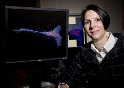 Assistant Professor Mary Kraft