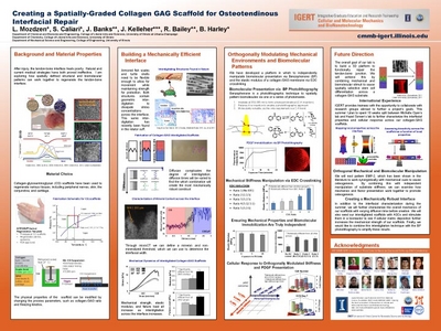 Poster from Laura Mozdzen's presentation