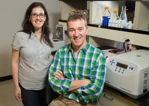 U. of I. chemical and biomolecular engineering professor Brendan Harley, right, and postdoctoral researcher Sara Pedron found a way to adjust the malignancy of brain cancer cells in a newly developed polymer gel that mimics conditions in the brain. Photo by L. Brian Stauffer 