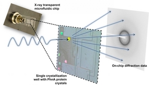Image from “A Microfluidic Approach for Protein Structure Determination at Room Temperature via on-chip Anomalous Diffraction.”