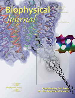 Research from Professor Paul J. A. Kenis' group appears on the cover and in the October 2013 Biophysical Journal. 