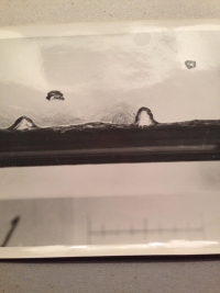 The start of boiling, photographed by Sant'Angelo as an undergraduate chemical engineering student at Illinois.