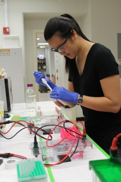 Illinois ChBE graduate student Danielle Mai