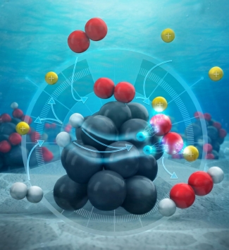 Instead of reacting together on the surface of the catalyst (the palladium cluster), the hydrogen atoms dissociate into their componentsâ€”protons and electrons, according to Illinois researchers. The protons enter the surrounding solution of water and methanol, while the electrons flow through the palladium itself into oxygen molecules. Credit: American Chemical Society. 