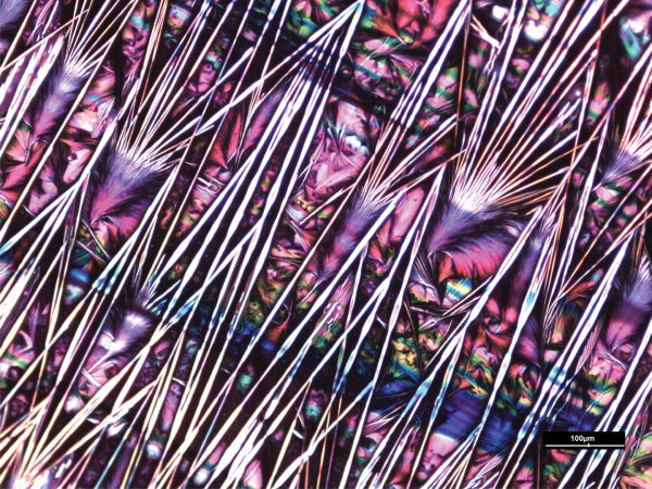 “Colors of Nature,” the 2017 Science Image Challenge Winner, by Prapti Kafle-Diao Group