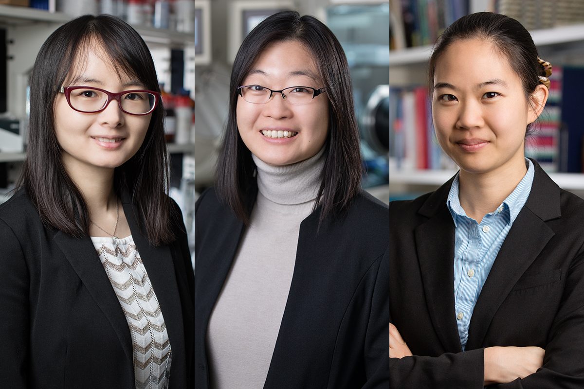 2018 Sloan Fellowship recipients: Qian Chen, Ying Diao, Pinshane Huang. Photo by L. Brian Stauffer. 