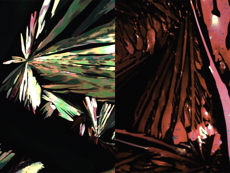 Pictured above are cross-polarized microscope images of organic semiconductor crystals, which precipitated from solution. Nicole Jugovich&#8217;s research in the Diao group involved achieving a deeper understanding of how organic semiconductor crystals form and what causes them to adopt different characteristics. Organic crystal research can advance organic electronics, since organic semiconductor crystals can be produced at 1/20th of silicon&#8217;s cost.