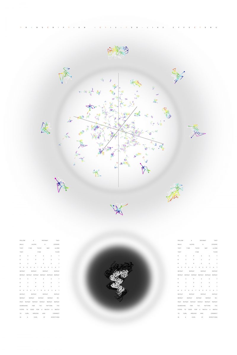 LANISPHERE  Genome editing holds immense promise in revolutionizing all aspects of medicine and many other industries. By understanding how gene editing proteins behave inside the cell at the single molecule level, researchers can gain insights into designing highly-speciï¬c technologies. CRISPR has been deservedly recognized as an efï¬cient way to edit DNA, but scientists have other strategies to choose from. TALE molecular pathways are more accurate than CRISPR in their identiï¬cation of DNA sites to be edited. This image evokes the precise pathways taken by the TALE molecules along strands of DNA in living cells. Nikon Ti Eclipse Microscope, Surbhi Jain, Huimin Zhao Laboratory. Funded by the NIH.