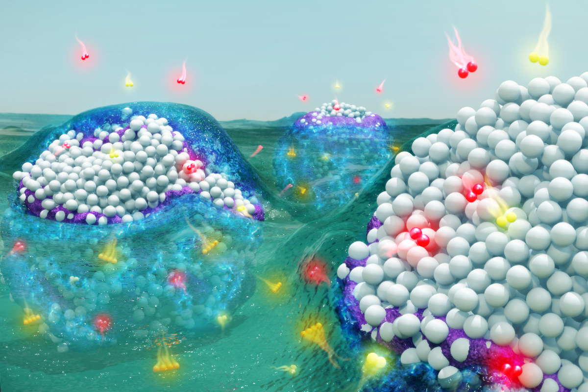 Illinois researchers are part of multi-institutional team that found that solvents spontaneously react with metal nanoparticles to form reactive complexes that can improve catalyst performance and simultaneously reduce the environmental impact of chemical manufacturing. Reprinted with permission from D. Flaherty et al.,&#160;Science&#160;371:6529 (2021). Graphic courtesy Alex Jerez, Imaging Technology Group &#8211; Beckman Institute.