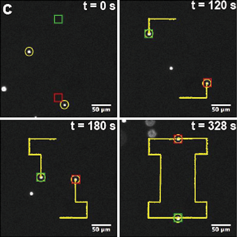 Manipulating two particles using the Stokes trap, where the objective is to precisely control the paths of two 2.2-um beads to trace the letter I. Snapshots of both particles at various instants of time, with the yellow line showing the past history of both particles.