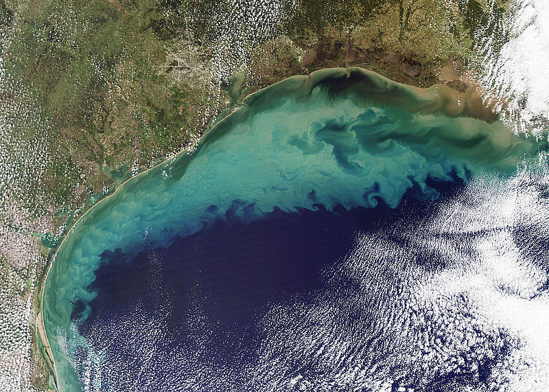 File:Sediment in the Gulf of Mexico (2).jpg