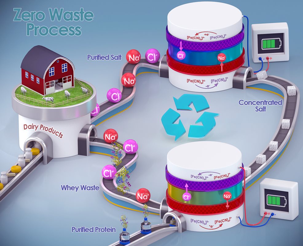 A graphical representation of the new whey-processing method. Graphic courtesy Xiao Su