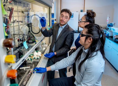 Professor Damien Guironnet and chemical and biomolecular engineering graduate students Vanessa DaSilva and Nicholas Wang discuss their work in Davenport Hall. Credit: University of Illinois Urbana-Champaign