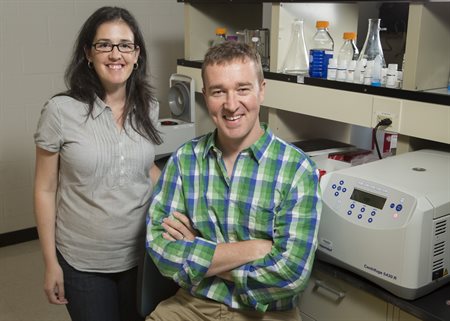 Professor Brendan Harley works with long-time collaborator Sara Pedron Haba, a research assistant professor, to develop fast, accurate, and cost-effective techniques to screen for a deadly form of brain cancer.&nbsp;
