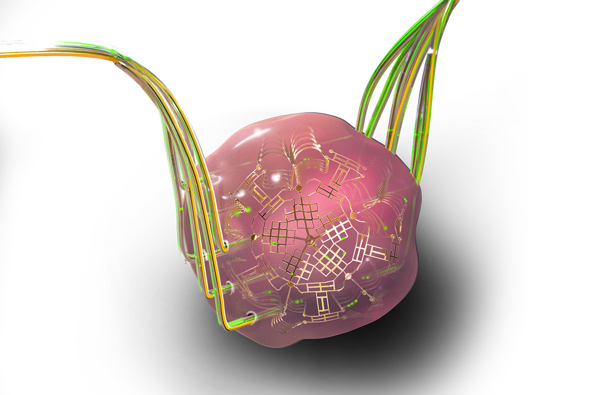The CZ Biohub Chicago will develop new technologies, such as this instrumented tissue mimic, that will use embedded sensors and probes to better understand and measure human biology.&nbsp;Graphic by Janet Sinn-Hanlon