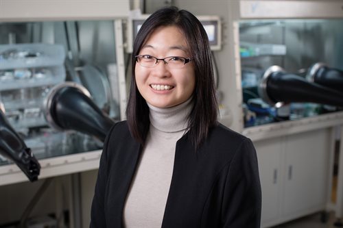 Professor Ying Diao in her lab