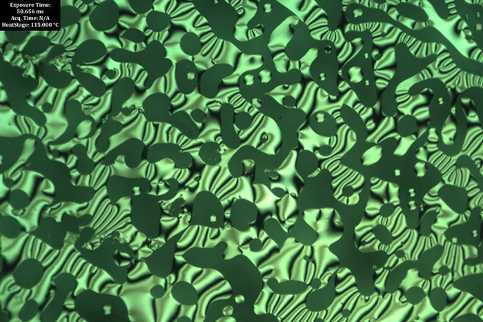 Optical micrograph showing the chiral liquid crystal phase of a polymer