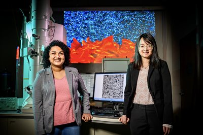 A new study by professor Qian Chen, right, and chemistry graduate student Falon Kalutantirige emphasizes the importance of nanoscale empty space in everyday materials. The image in the background, titled &ldquo;Beyond Nothingness,&rdquo; was produced using computational modeling and portrays a magnified surface of a water filtration membrane as a mountainous landscape, with computational data points as the starry dark universe in the background.&nbsp;