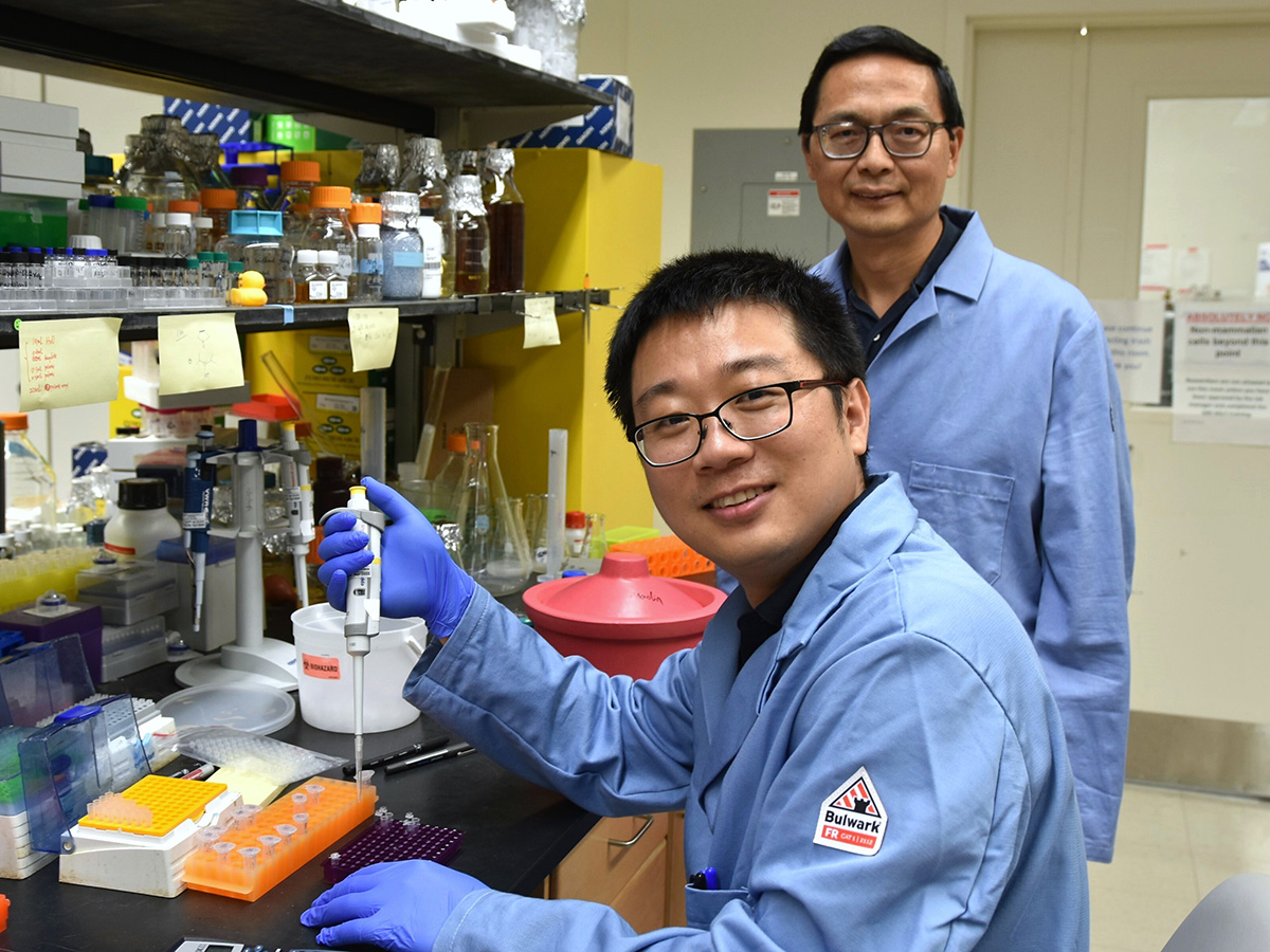 CABBI Postdoctoral Research Associate Maolin Li (seated) and Co-PI Huimin Zhao work in their lab at the Carl R. Woese Institute for Genomic Biology.