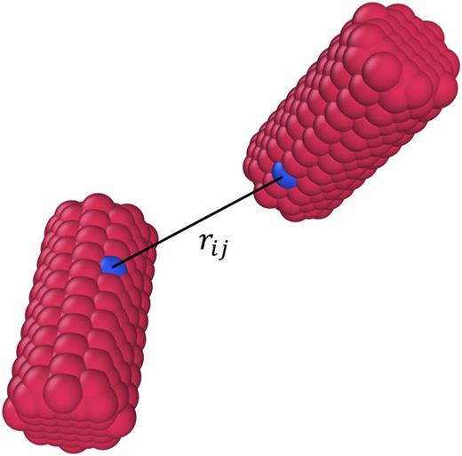 Two corn-cob shapped red cylindrical shapes made of small spheres. One each shape there is one blue sphere with a black line connecting them and the letters: rij.